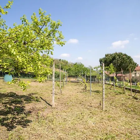 Ciraldo In Monferrato With Garden